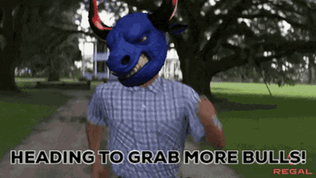 Sbs Secret Bulls GIF