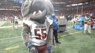 SC State Football Mascot Standing On Field GIF