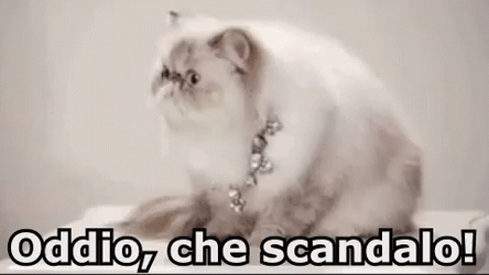 Scandal Wide Eyes GIF