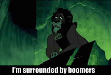 Scar Im Surrounded By Idiots GIF