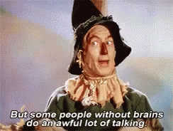Scarecrow From The Wizard Of Oz Says But Some People Without Brains Do An Awful Lot Of Talking GIF