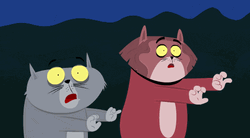 Scared Cats Kitty Is Not A Cat GIF