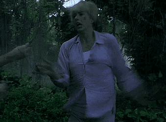 Scared Creepy Crawlies GIF