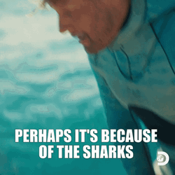 Scared Parkers Trail Perhaps The Shark GIF