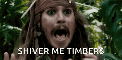 Scared Pirate GIF