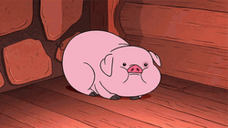 Scared Waddles Gravity Falls
