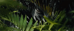 Scary Dinosaur Stalking Behind Bush GIF