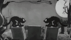 Scary Halloween Skeleton Creepy Attack GIF