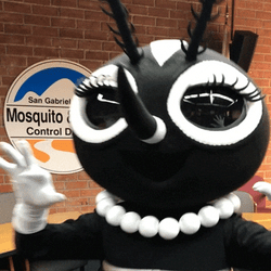 Scary Mascot Mosquito  GIF