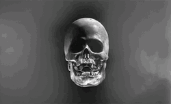 Scary Skull Creepy Blink GIF
