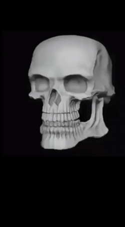 Scary Skull Rotating Meme GIF