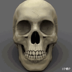 Scary Skull Staring Creepily GIF