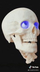 Scary Skull Tiktok GIF