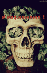 Scary Skull With Weird Weeds Glitching GIF