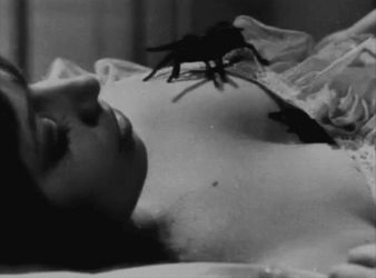 Scary Spider Crawling On Woman's Chest GIF