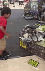 Scary Spider Jumpscare Prank GIF