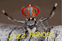 Scary Spider King GIF