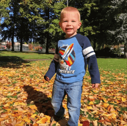 Scattered Falling Leaves GIF