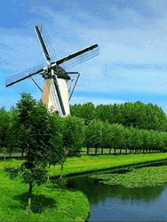Scenic Windmill Trees GIF