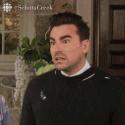 Schitt's Creek Dan Levy I Am Apologetic GIF