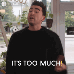 Schitt's Creek Dan Levy Its Too Much GIF
