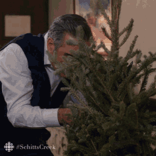 Schitt's Creek Sitcom Johnny Rose Cutting Tree GIF