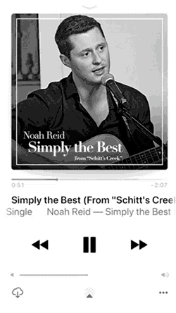 Schittscreek David GIF