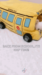 School Bus Cute Dogs Nap Time GIF