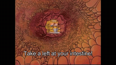 School Bus Inside Large Intestine Take Left At Intestine GIF