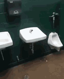 School Sink GIF
