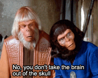 Sci Fi Talking Monkeys With Human Hair GIF