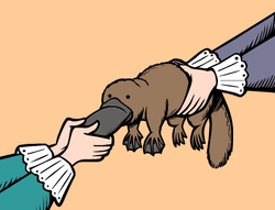 Scientists Removing Platypus Bill GIF
