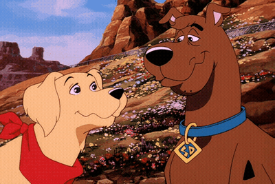 Scooby Doo And A Dog Are Standing Next To Each Other In A Field GIF