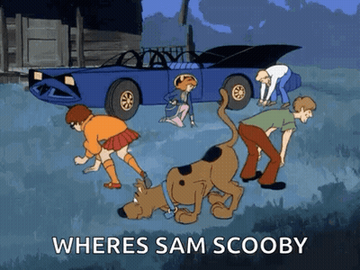 Scooby Doo And Friends Looking For Sam Scooby GIF