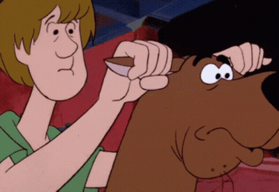 Scooby Doo And Shaggy From The Scooby Doo Cartoon GIF