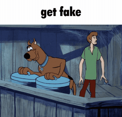 Scooby Doo And Shaggy Get Fake GIF