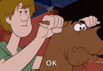 Scooby Doo And Shaggy Holding Knife Saying Ok GIF