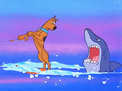 Scooby Doo Being Towed By Shark In Water GIF