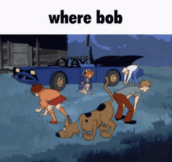 Scooby Doo Gang Looking For Bob GIF