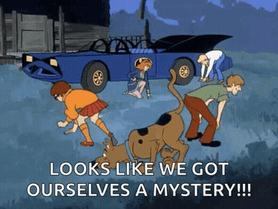 Scooby Doo Looks Like We Got Ourselves A Mystery GIF
