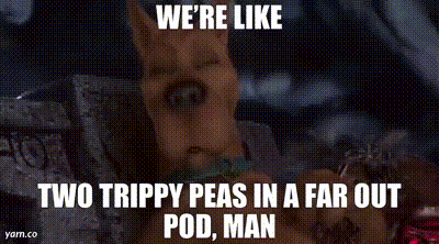 Scooby Doo Meme We're Like Two Trippy Peas In A Far Out Pod Man GIF