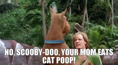 Scooby Doo Saying No Your Mom Eats Cat Poop GIF