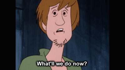 Scooby Doo Saying What'll We Do Now GIF