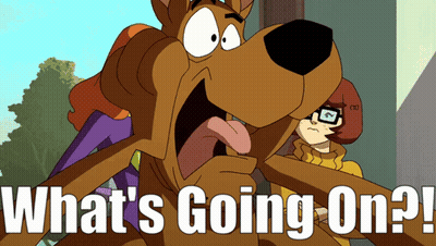 Scooby Doo Saying What's Going On GIF