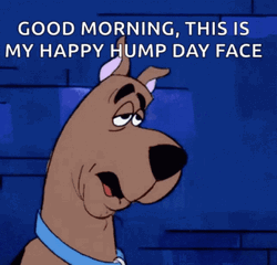 Scooby Doo Showing Sleepy Happy Hump Day Face GIF