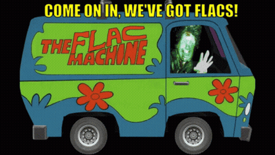 Scooby Doo Van Saying Come On In We've Got Flags GIF