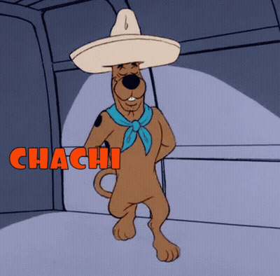 Scooby Doo Wearing Sombrero GIF