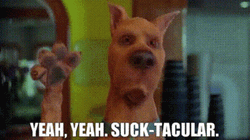 Scooby Doo Yeah Suck-Tacular GIF