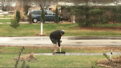 Scooping Flooded Water GIF