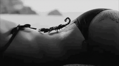 Scorpion Crawling On Woman's Back GIF